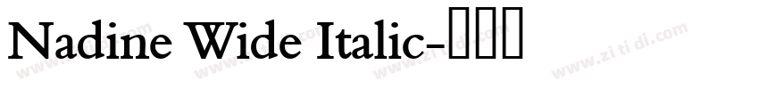 Nadine Wide Italic字体转换